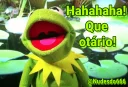 Video sticker 😂 Kermit, the frog 4 🐸