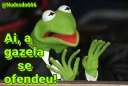 Video sticker 💁‍♂ Kermit, the frog 4 🐸