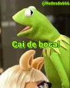 Telegram sticker 😏 Kermit, the frog 4 🐸