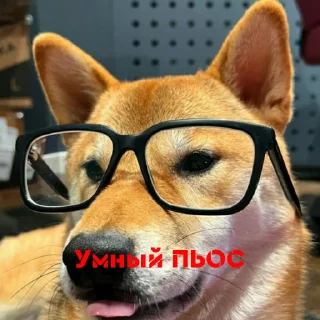 Telegram sticker 🤓 Создано в @StickerEdit_bot