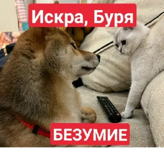 Sticker 😍 Создано в @StickerEdit_bot