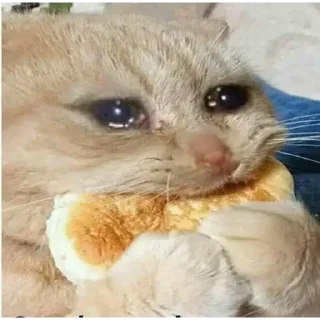 Video sticker 😓 Stickers God