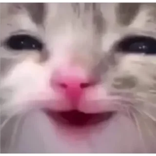 Sticker 😀 Stickers God