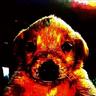 Video sticker 😳 Stickers God