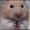 Video sticker 🥰 Homingssss_good