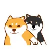 Video sticker 🙈 Homingssss_good