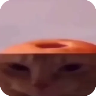 Video sticker 😀 Коллекция вкусных стикеров