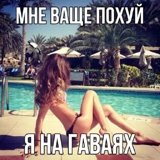 Video sticker 🏝 хуйня от @m3m444