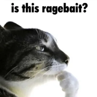 Video sticker 🤓 is this ragebait? ➡️@leachxx
