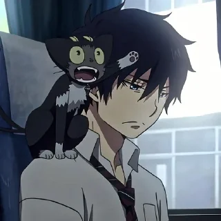 Video sticker 😕 Синий экзорцист @anime_stickerr