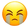 Sticker 😭 Memoji