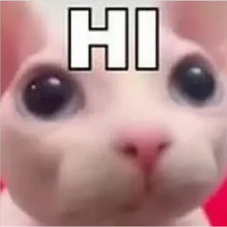 Sticker 😃 - ᗷY @ahMshY 𓉮 . Funny Animals