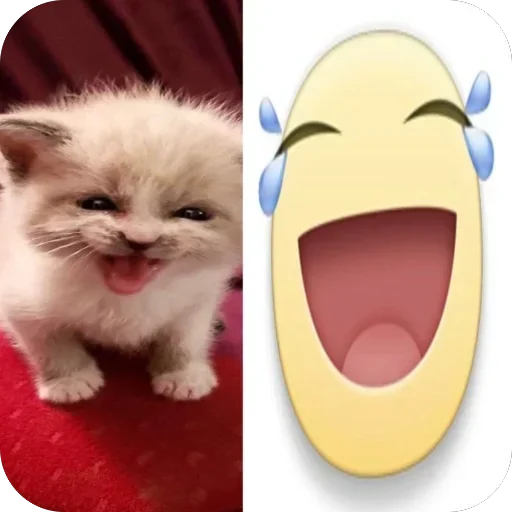 Telegram sticker 😂 Reiney