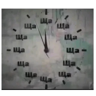 Video sticker 👌 моя какашечка by @gggor0h