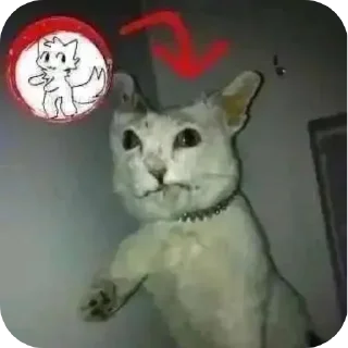 Video sticker 🐱 Диван сосал? :: @fStikBot