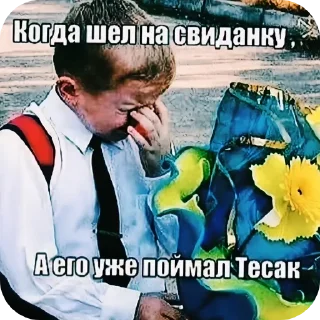 Video sticker 🖼 Мир без смешариков | @MGTphone :: @fStikBot