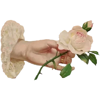 Telegram sticker ❤️ Больше стиков тут: @stickery_stickers