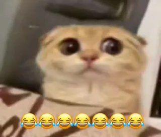 Video sticker 🖤 High