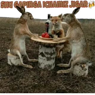 Telegram stiker 😆 MILLENNIUM_701)