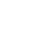 Video sticker 👣 Status Pack Plus (...