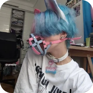 Video sticker 😎 Dogboy @vemBoy