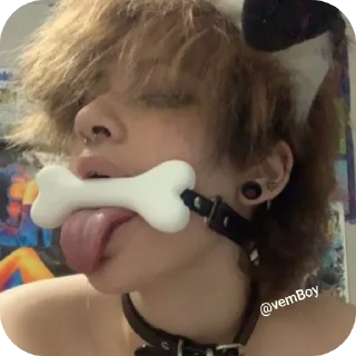 Video sticker 👍 Dogboy @vemBoy