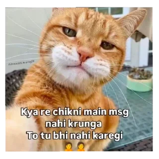 Телеграм стикер 🐱 @KurosakiEternity OneForAll