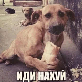 Video sticker 😡 Переговоры by ZETW