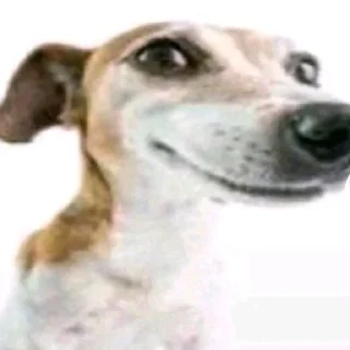 Telegram sticker 😃 Переговоры by ZETW