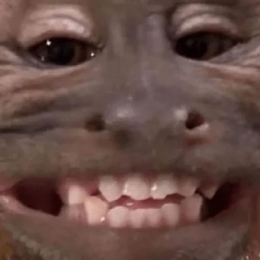 Telegram stiker 😀 EAI CORNO: Pack da 𝐿𝓊𝒽