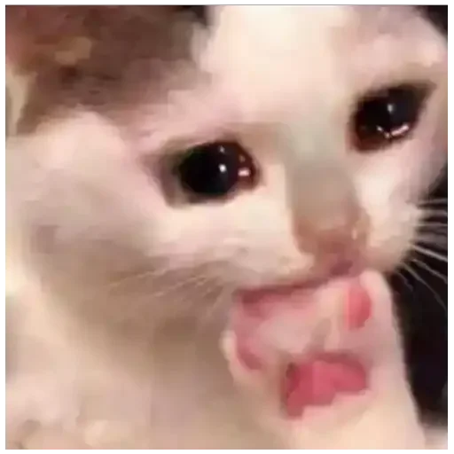 Telegram stiker 😭 EAI CORNO: Pack da 𝐿𝓊𝒽