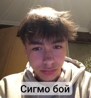 Video sticker 😎 Я хуесос by @offstikbot