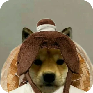 Telegram sticker 🐶 Аррррраасионаол
