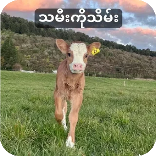Телеграм стикер 🐶 မင်းတုန်းမင်းမူပိုင်