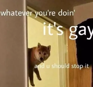 Telegram sticker 🏳‍🌈 Sky's Pacc ᐛ ~