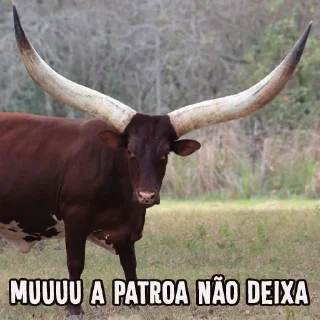 Video sticker 🐂 Set #088 @LeonMagnum