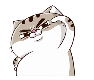 Video sticker 🫡 Fat Cat - @TodorokiShouto