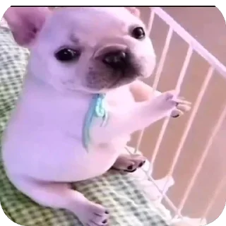 Telegram sticker 💔 Sᴜ́ᴘᴇʀ ᴘɪʙʟʟᴇ  @TristeYsintuamor