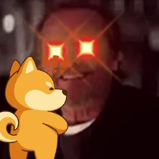 Video sticker 😋 bonkin