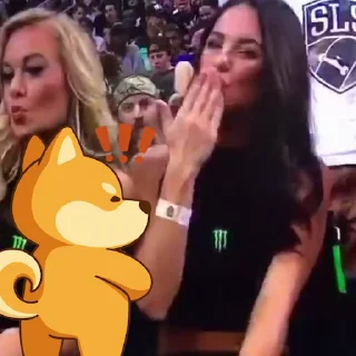 Video sticker 🤪 bonkin