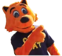 Telegram sticker 👍 Cool Cat