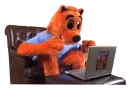 Telegram sticker 😦 Cool Cat