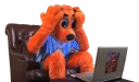 Telegram sticker 😨 Cool Cat