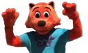 Video sticker 🙌 Cool Cat