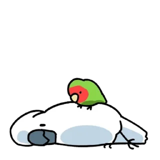 Telegram sticker 💬 시끄러운 앵무새들 By @KakaoEmoticon
