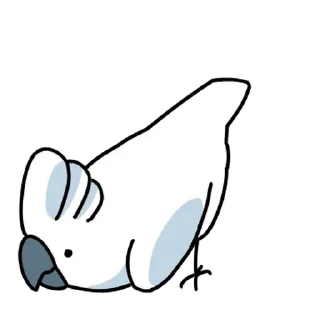 Telegram sticker 💬 시끄러운 앵무새들 By @KakaoEmoticon