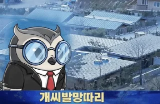 Telegram sticker 🌟 콩이러브콘 :: @fStikBot