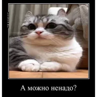 Телеграм стикер 🙃 ~dungeon~ :: @fStikBot