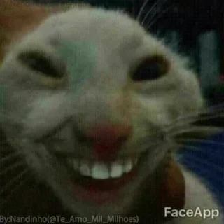 Telegram sticker 🔴 @Miqueiasshandow999's kang pack Vol.1