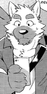 Video sticker 📱 Stickers M